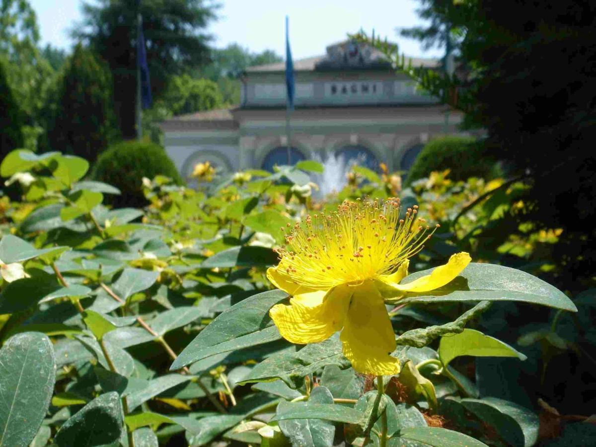 Grand Hotel Terme Riolo Terme Eksteriør billede